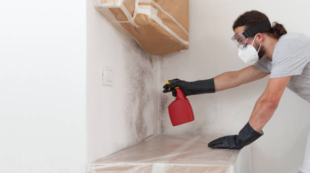 Professional Mold Removal technician working in Lexington, IL