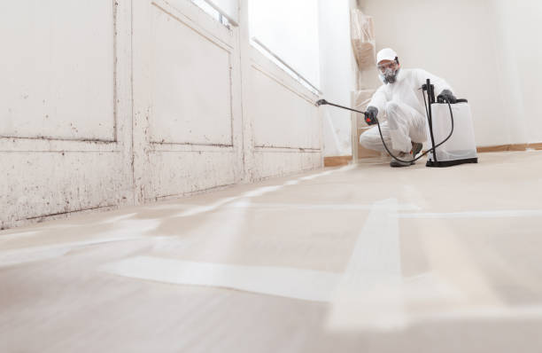 24/7 Emergency Mold Removal experts in Lexington, IL